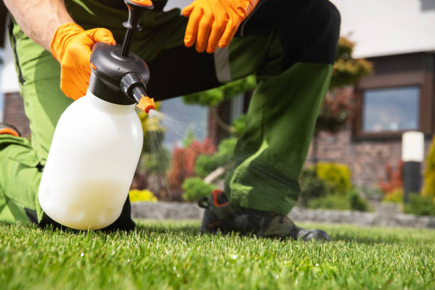 Trusted Spencerville, OH Pest Control Experts